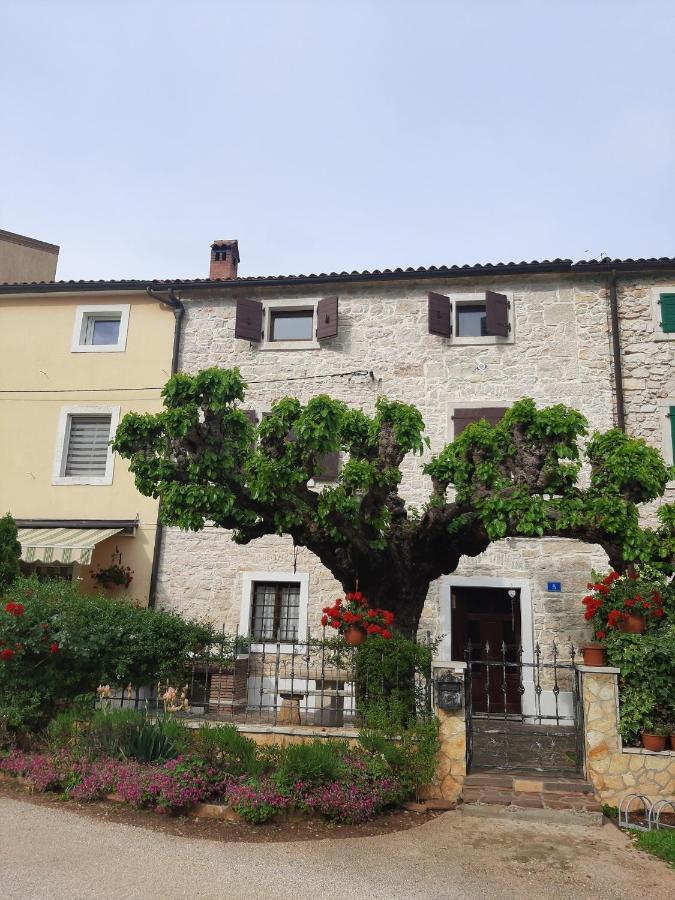 فيلا Casa Girasole بوجي المظهر الخارجي الصورة