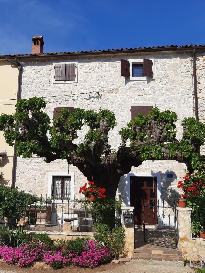 فيلا Casa Girasole بوجي المظهر الخارجي الصورة